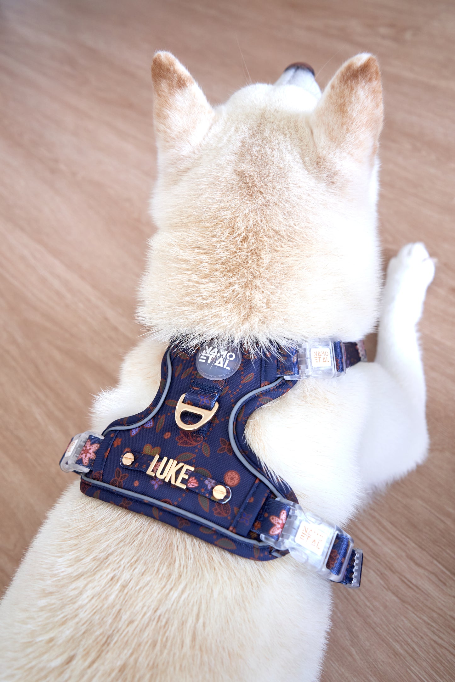 Adaptis Harness