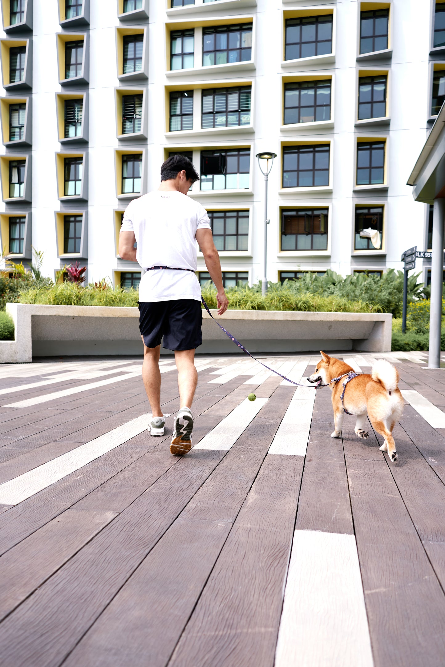 Adaptis Leash