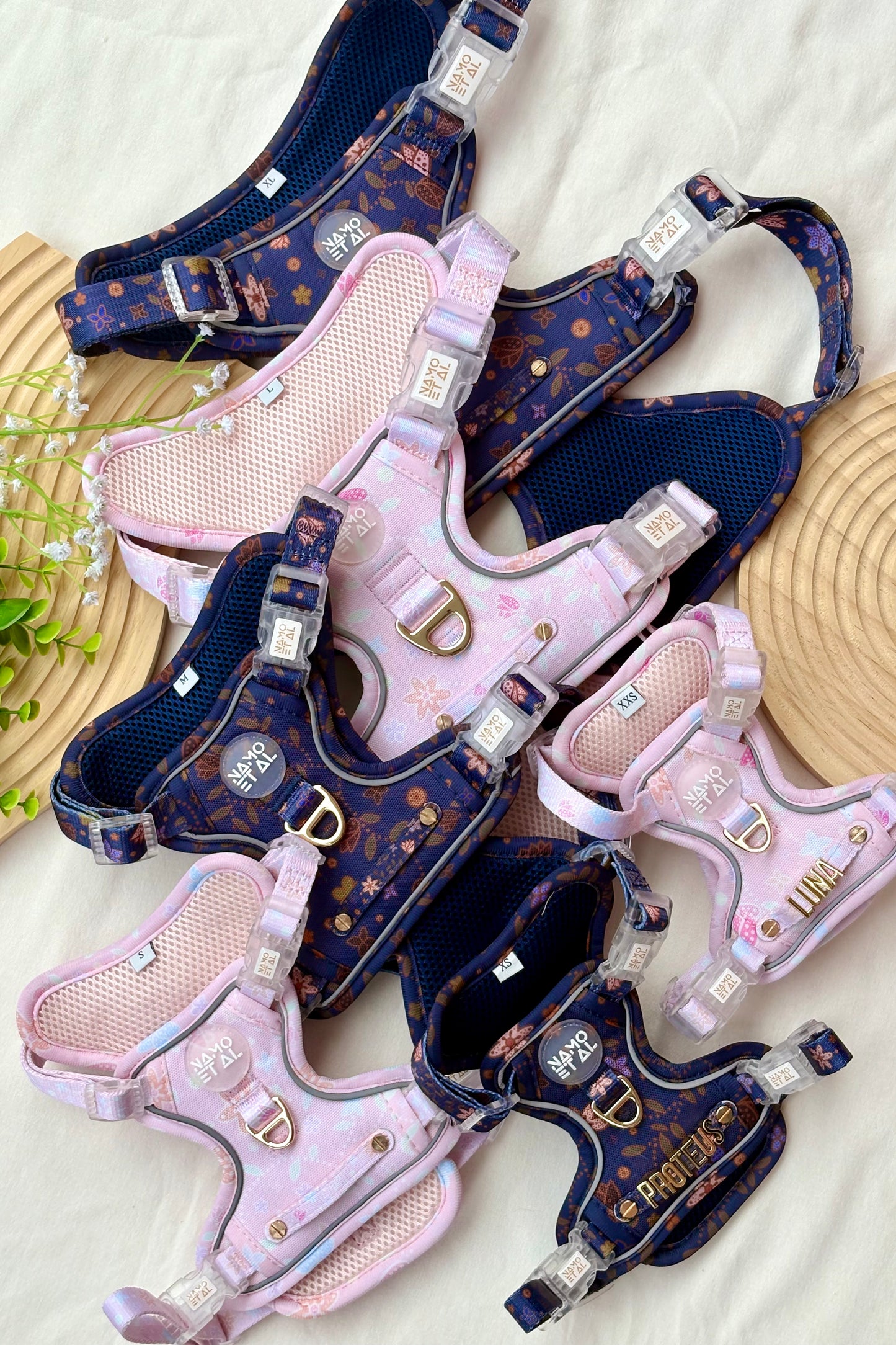 Adaptis Harness