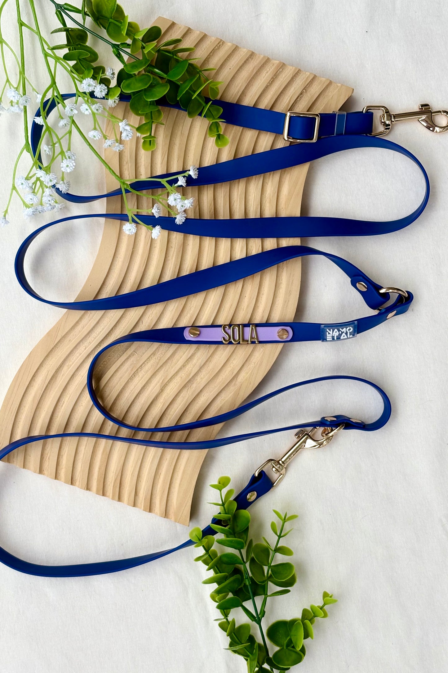 Waterproof Convertible Leash