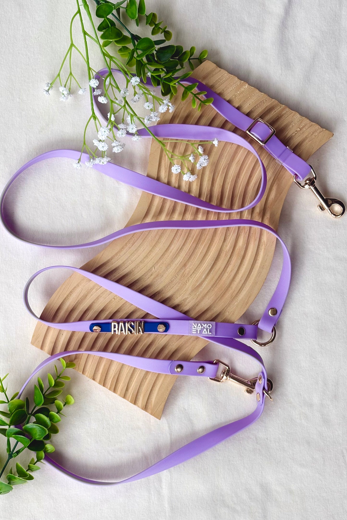 Waterproof Convertible Leash