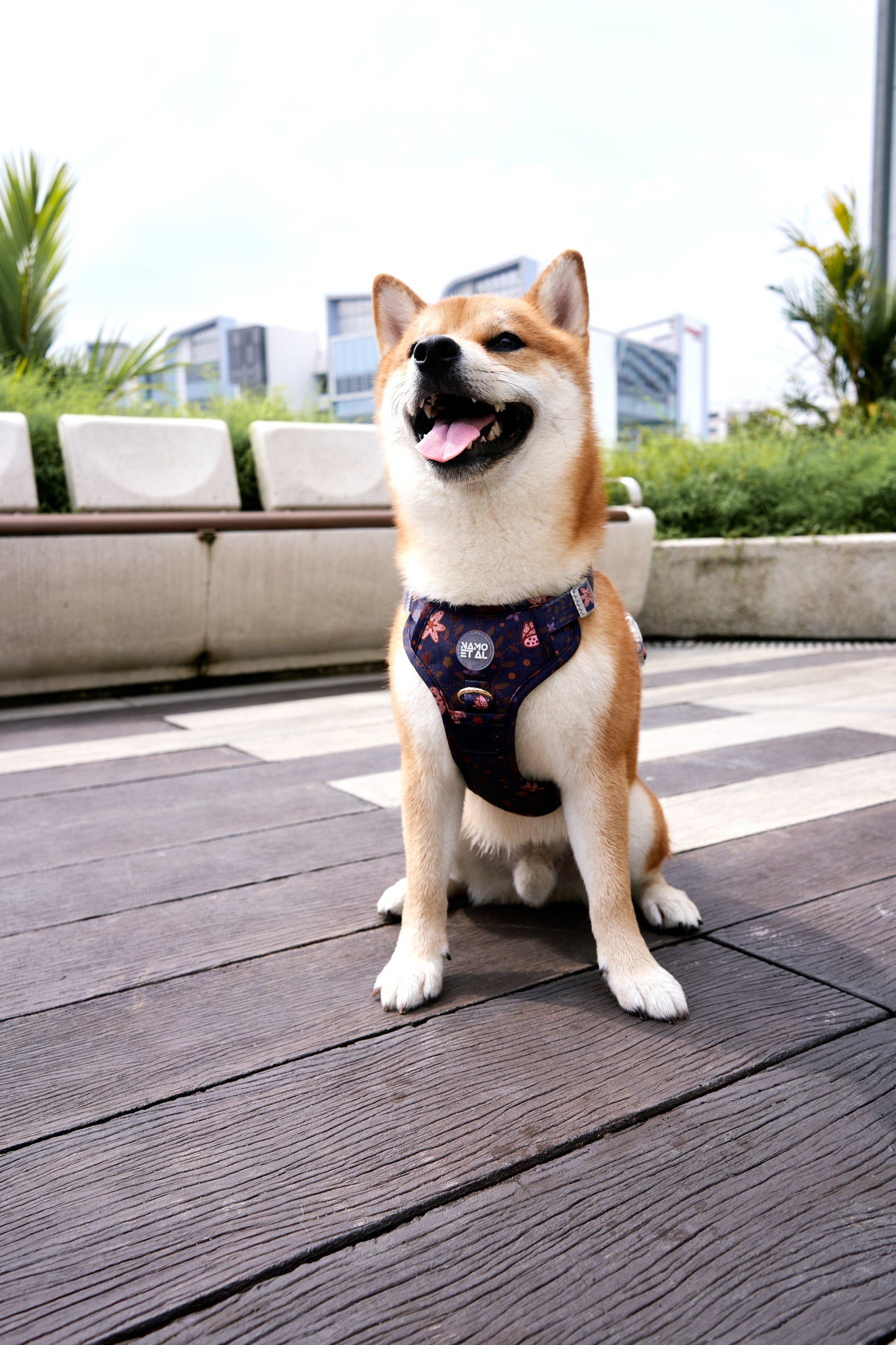 Adaptis Harness