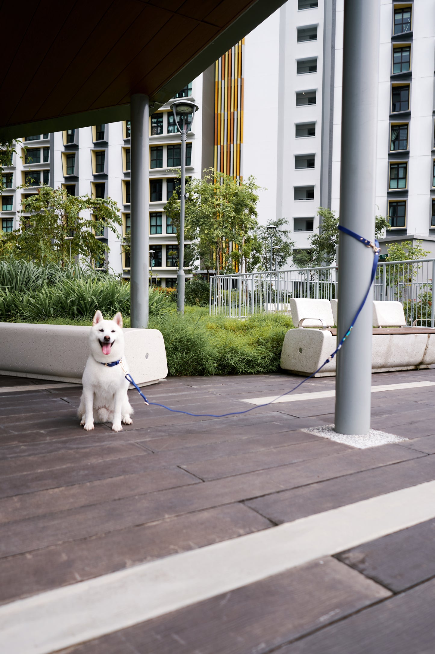 Waterproof Convertible Leash