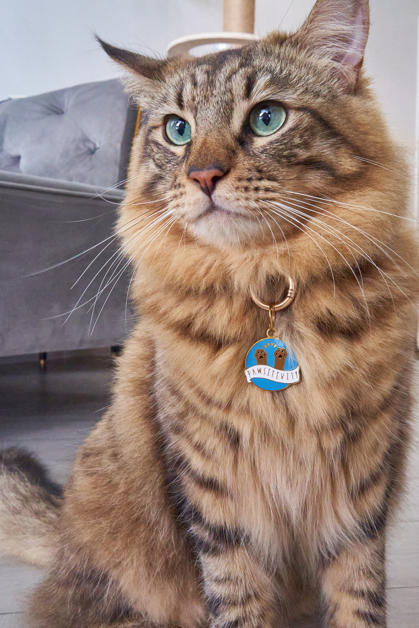 Cattitude Pet Tag