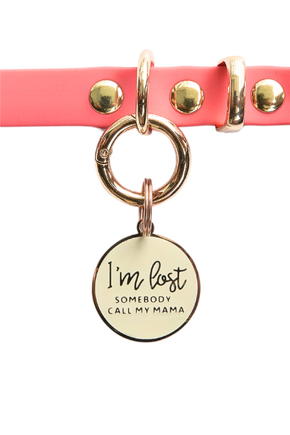 I'm Lost Somebody Call My Mama Pet Tag