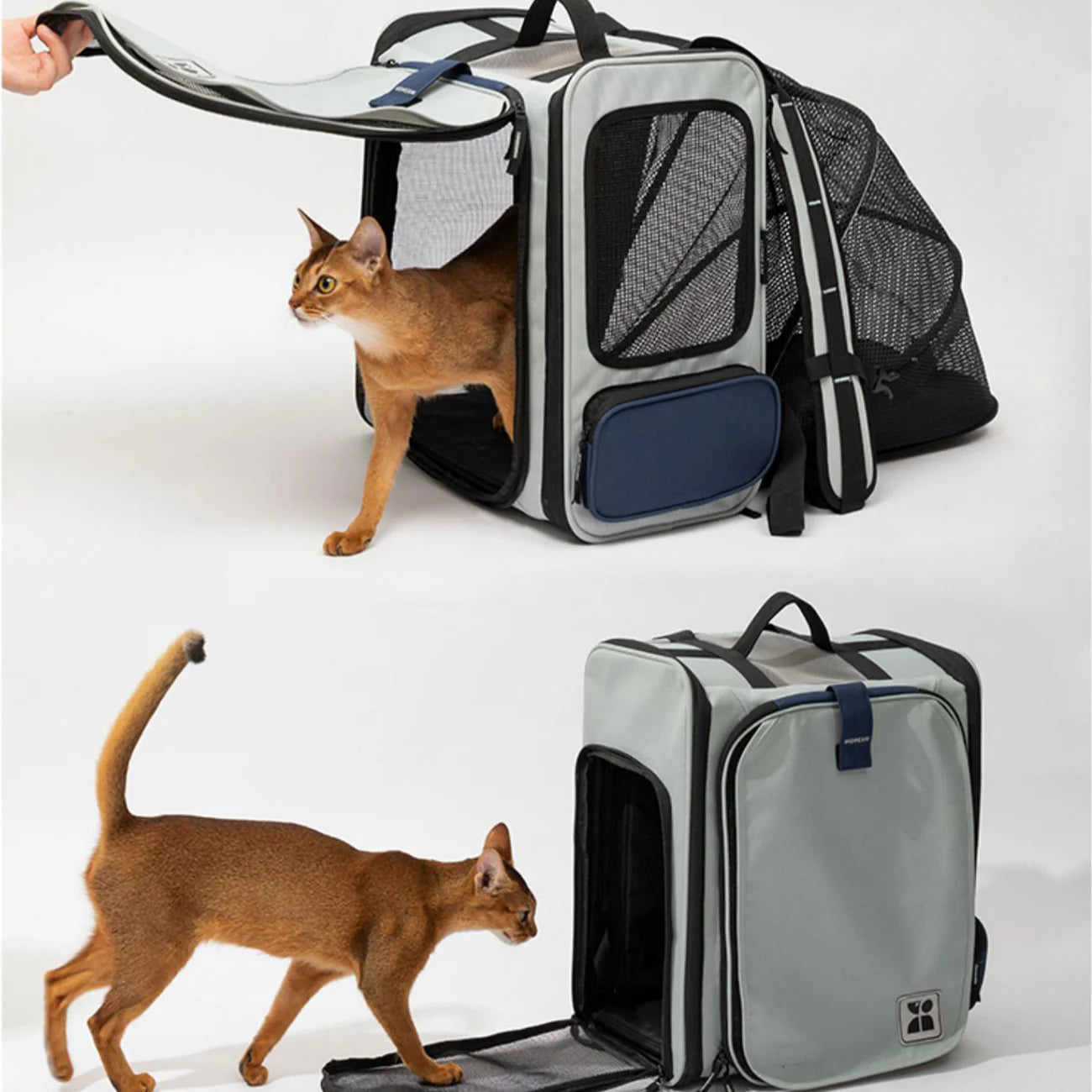 HiDREAM Expandable Pet Carrier Backpack