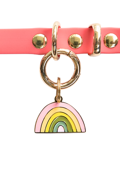 Rainbow Pet Tag