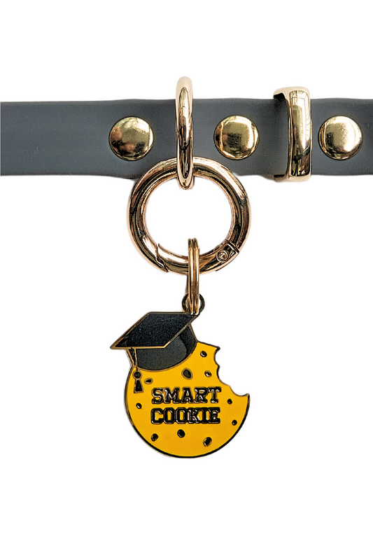 Smart Cookie Pet Tag