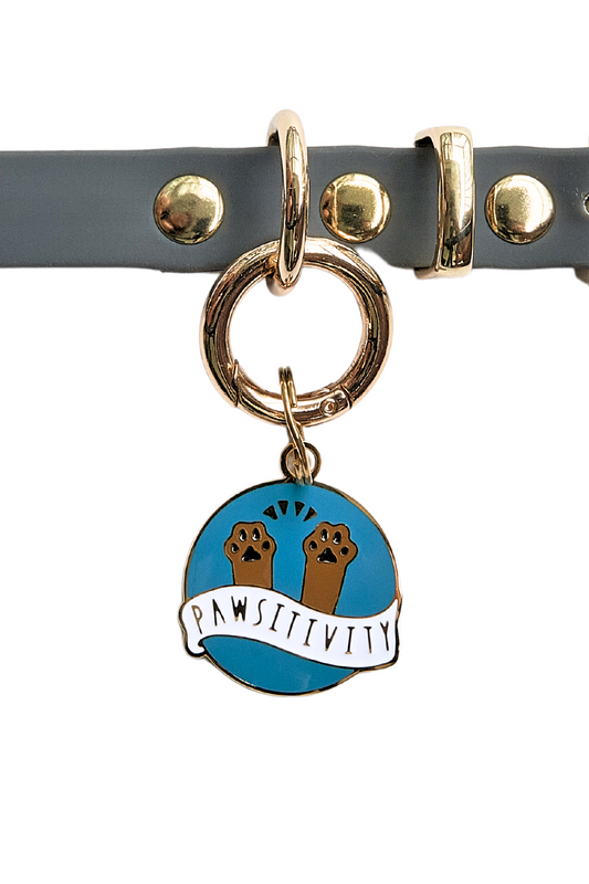 Pawsitivity Pet Tag