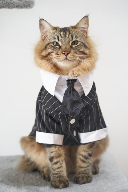 Charlie Striped Tuxedo with Tie