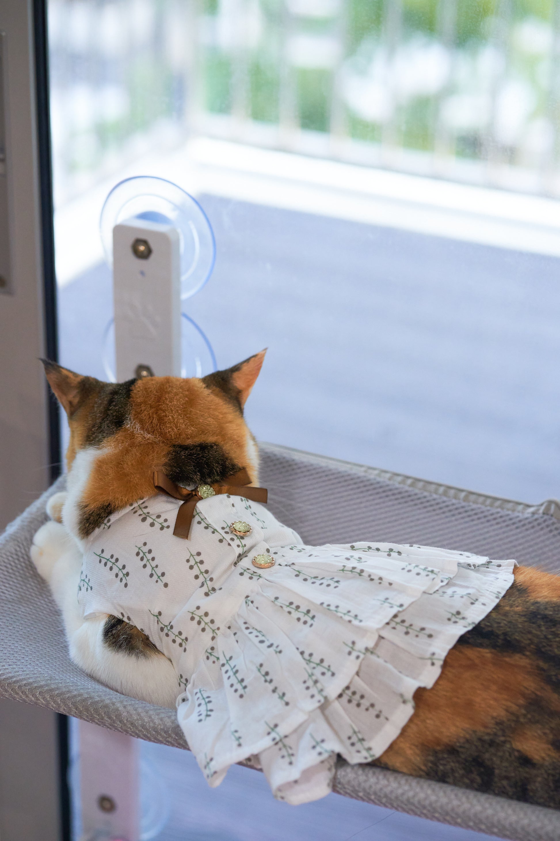 Leia Oasis Bow Dress - Main Image