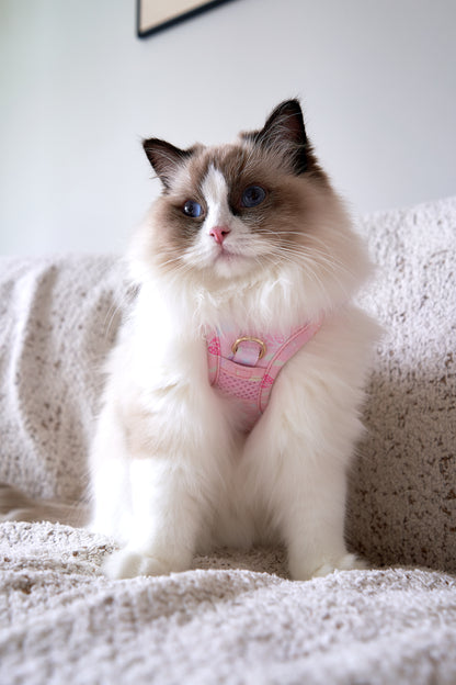 Adaptis Harness