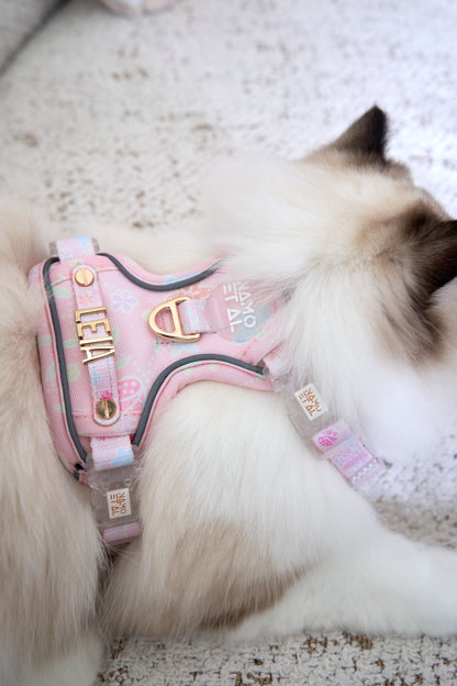Adaptis Harness