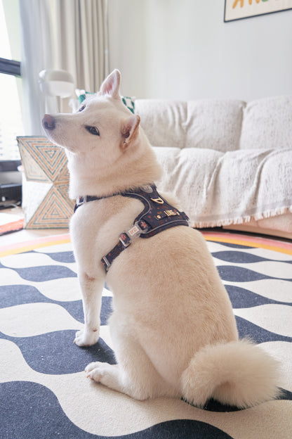 Adaptis Harness
