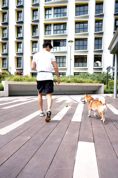 Adaptis Leash